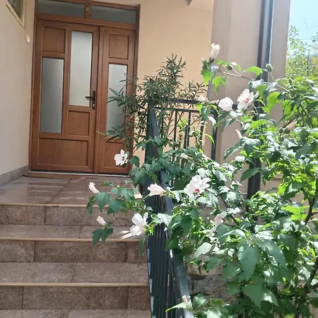 Palamar * Kursumlija